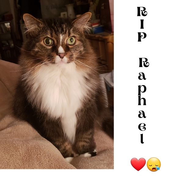 Meet your Posher, Angela - Picture 12 of 16